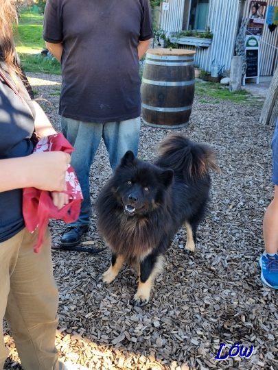 3.9.2025 - Wo bleibt mein Glas?